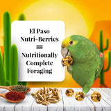 Lafeber El Paso Nutri-Berries Parrot Food - 10 oz