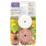 Lixit Salt Wheels Treat for Small Pets - 2 count