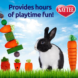 Kaytee Chew & Treat Toy Assortment for Rabbits