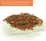 Zilla Reptile Munchies Mealworms - 3.75 oz