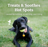 PetArmor Hot Spot Skin Remedy for Dogs Non-Stinging Formula - 4 oz