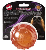 Spot Scent-Sation Peanut Butter Scented Ball - Large