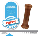 Nylabone Puppy Chew Starter Kit - 3 count