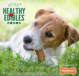 Nylabone Healthy Edibles Chews Chicken Regular - 3 count
