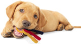 Nylabone Puppy Chew Teething Keys Toy - Small
