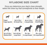 Nylabone Puppy Chew Teething Keys Toy - Small