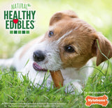 Nylabone Natural Healthy Edibles Chew Dog Treats Roast Beef Regular - 2 count