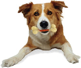 Nylabone Dental Chew Pro Action Dental Dog Chew Bacon Flavor - Small