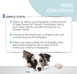 Nylabone Advanced Oral Care Adult Dental Kit - 2.5 oz