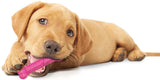 Nylabone Puppy Chew Dental Bone Pink