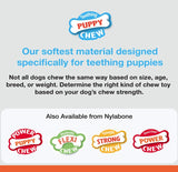 Nylabone Puppy Chew Dental Bone Blue