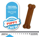 Nylabone Puppy Chew Twin Pack Petite - 2 count