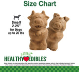 Nylabone Healthy Edibles Natural Puppy Chew Treats Lamb and Apple Flavor - 4 count