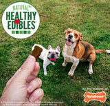 Nylabone Natural Healthy Edibles Beef and Cheese Chewy Bites Dog Treats - 6 oz
