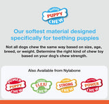 Nylabone Puppy Chew Color Changing Chill N Chew Bone Mini Souper