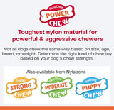 Nylabone Power Chew Bison Bone Alternative Dog Chew Toy Beef Flavor