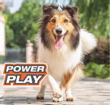Nylabone Power Play Fetch-a-Bounce Rubber Dog Toy