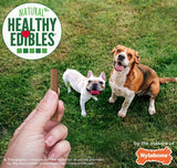 Nylabone Healthy Edibles Natural Chewy Sticks Beef Flavor - 12 oz