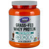 Now Sports Grass Fed Whey Protein Concentrate Creamy Chocolate Powder, 1.2 lbs.