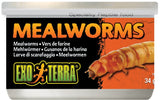 Exo Terra Canned Mealworms Specialty Reptile Food - 1.2 oz