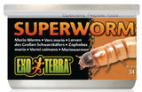 Exo Terra Canned Superworms Specialty Reptile Food - 1.2 oz