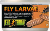 Exo Terra Canned Black Soldier Fly Larvae Specialty Reptile Food - 1.2 oz