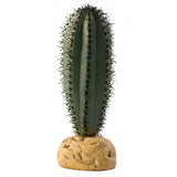 Exo Terra Desert Saguaro Cactus Terrarium Plant