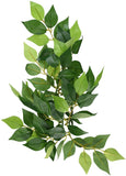 Exo Terra Silk Ficus Forest Plant - Small