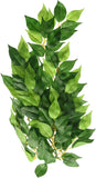 Exo Terra Silk Ficus Forest Plant - Small