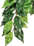 Exo Terra Silk Ficus Forest Plant - Small