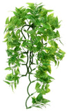 Zoo Med Naturalistic Flora Mexican Phyllo Plant for Reptiles - Small