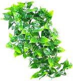 Zoo Med Naturalistic Flora Mexican Phyllo Plant for Reptiles - Small